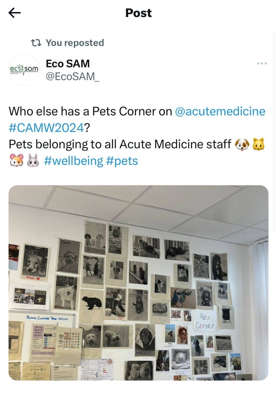 IMG-20250816-WA0011 IMG-20250816-WA0011